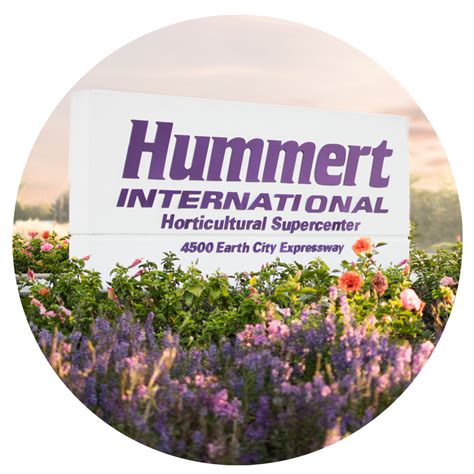 hummert intl